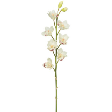 Orchid Cymbidium  - Artificial floral - Artificial orchid stems for rent